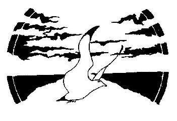Peace Dove